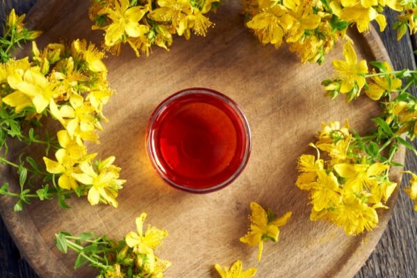 Beyond Conventional Medicine: A Deep Dive into Alternative Health and Wellness Practices