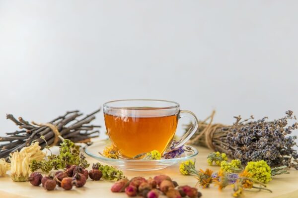 Holistic Wellness and Alternative Medicine: A Path to Harmony and Balance