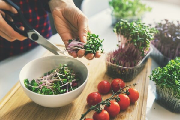 The Miniature Powerhouses: Unveiling the Nutritional Value of Microgreens